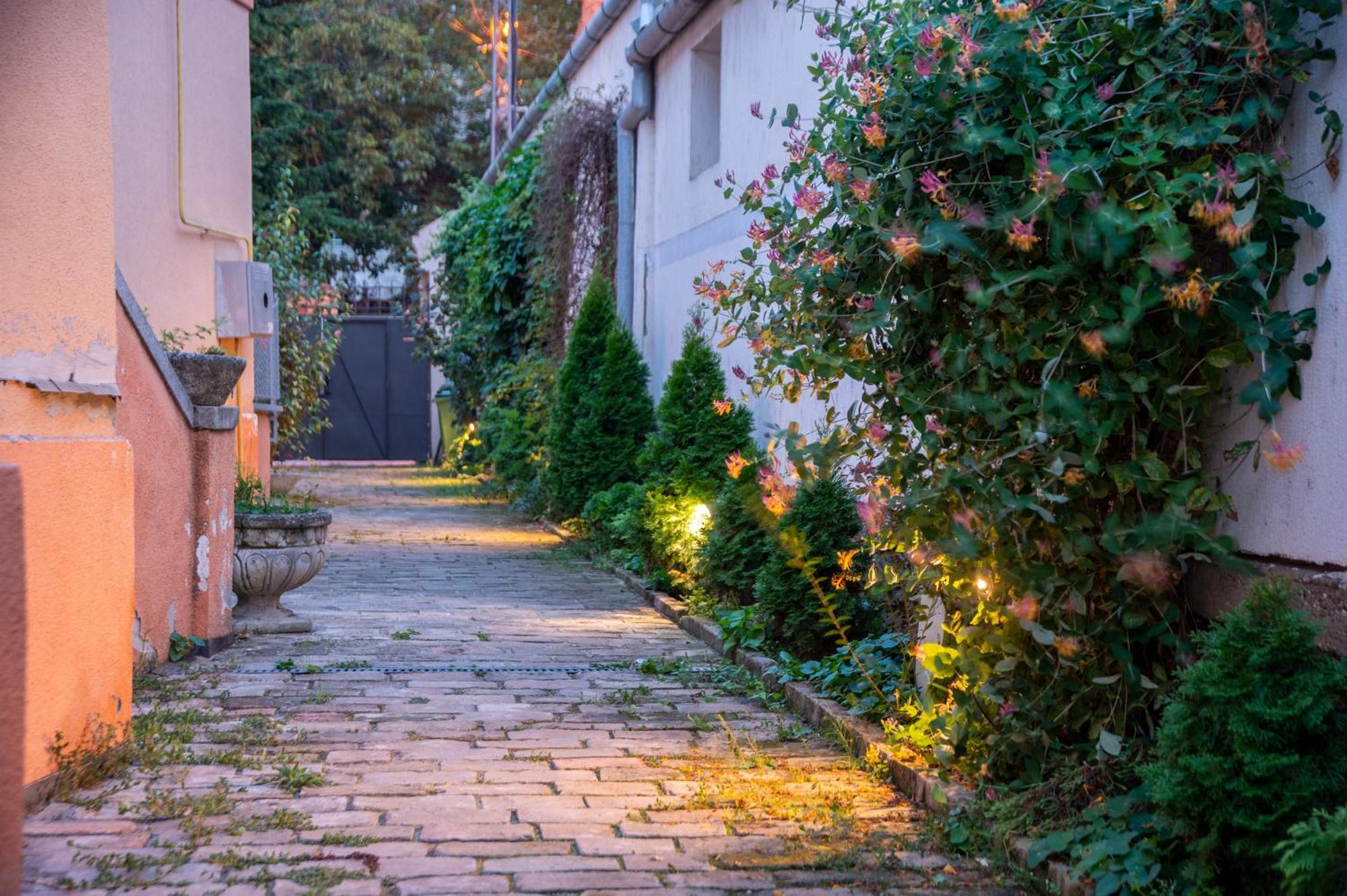 Apartman Centar Carloviţ Exterior foto