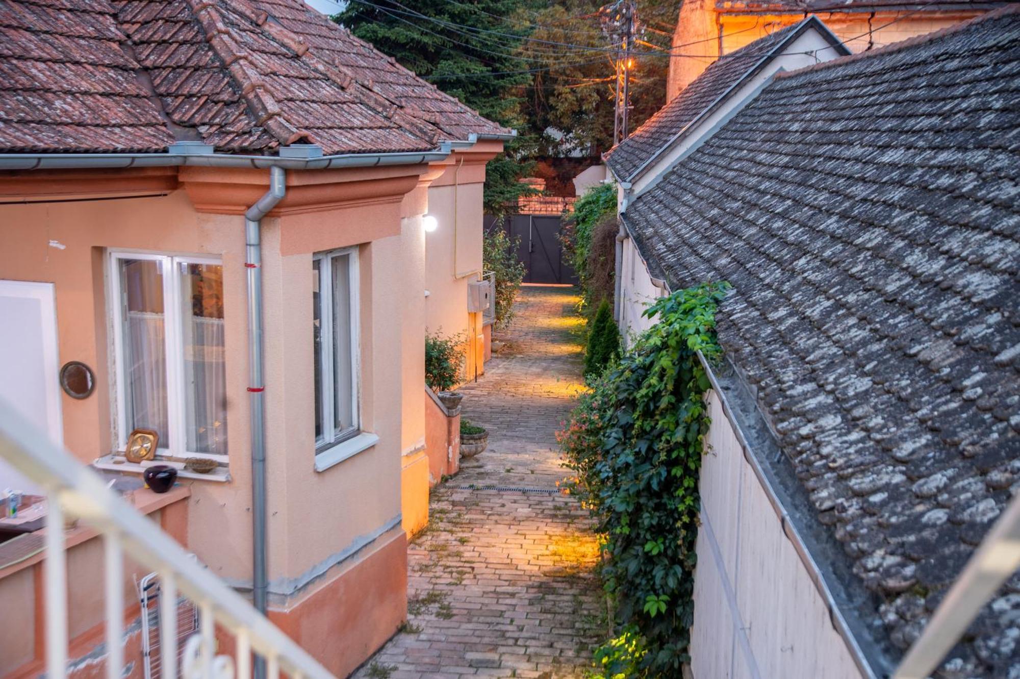 Apartman Centar Carloviţ Exterior foto
